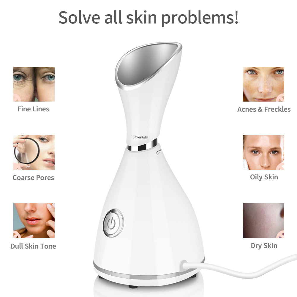 Face Beauty Steamer