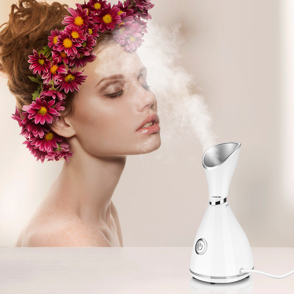 Face Beauty Steamer